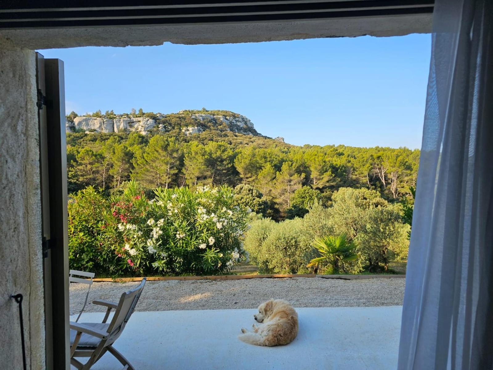 Bed and Breakfast Mas De La Fadeto Les Baux-de-Provence Esterno foto